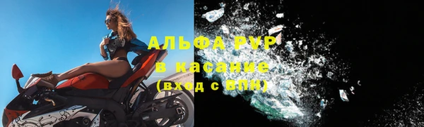 круглые Гусев