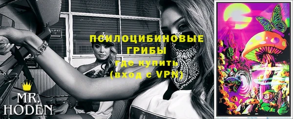 круглые Гусев