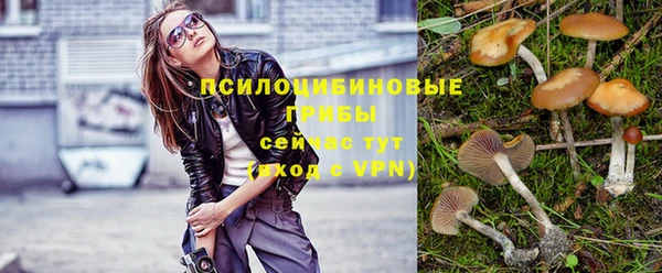 крисы Горняк
