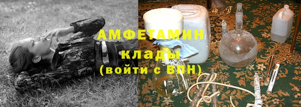 крисы Горняк