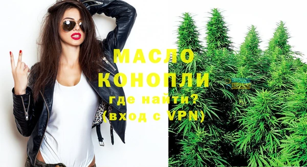 крисы Горняк