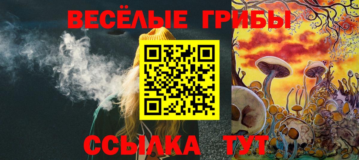 Галлюциногенные грибы Magic Shrooms Дмитров