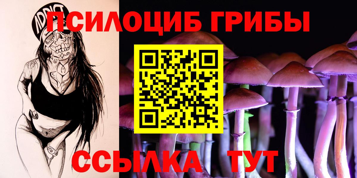 Галлюциногенные грибы прущие грибы  Дмитров 