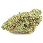 Шишки OG Kush  (Гидропоника, бошки) VHQ в Дмитрове